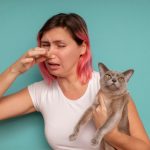 Why Do My Cats Farts Odor Like Eggs? Our Vet Explains