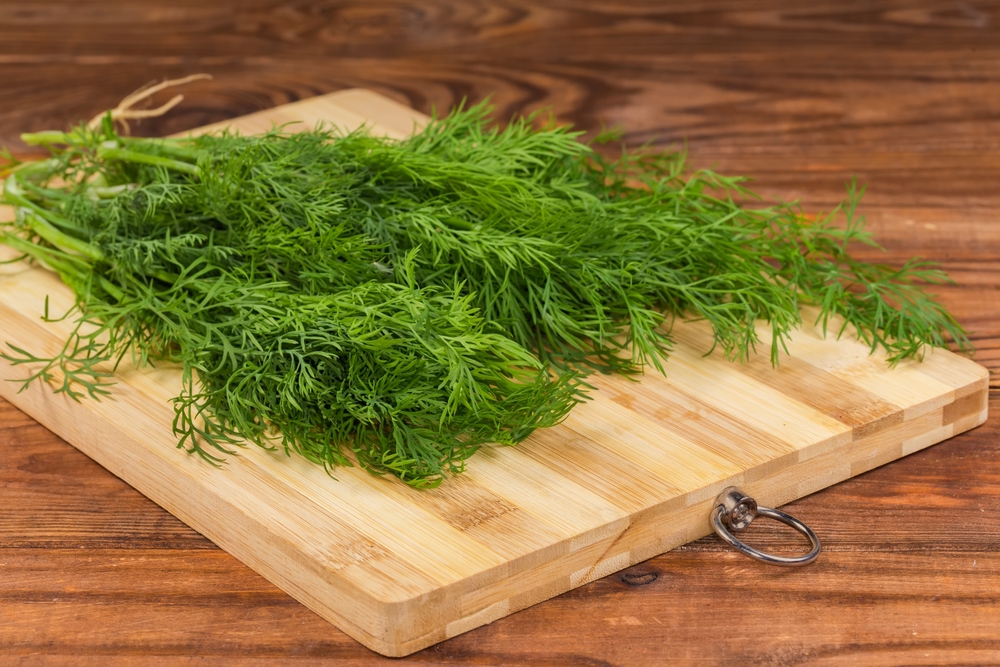 Can Canines Eat Dill? Vet-Verified Diet Details & Preparation Concepts – Dogster