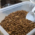 Can I Feed My Canine Retailer-Purchased Kibble? Vet-Authorized Diet Information – Dogster