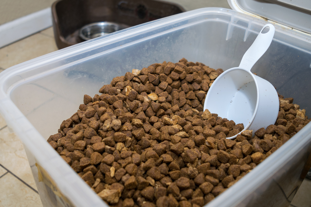 Can I Feed My Canine Retailer-Purchased Kibble? Vet-Authorized Diet Information – Dogster