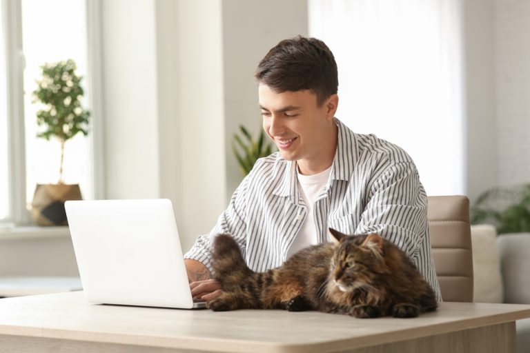 Pet Telehealth: How Does It Work for Your Cat? Vet Accredited Information & FAQ