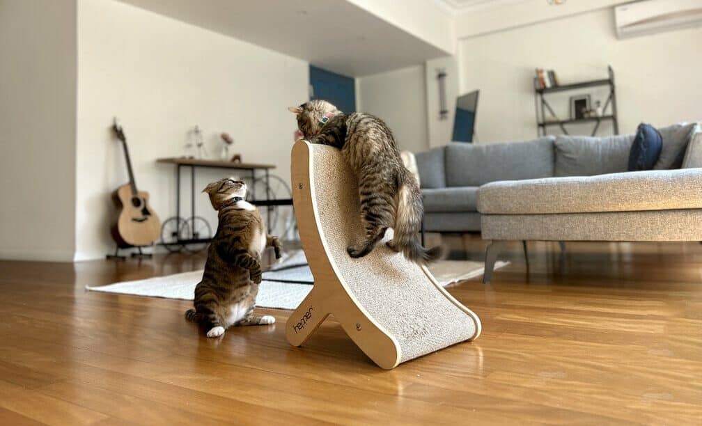 hepper hi-lo cat scratcher