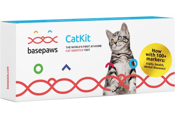 Basepaws Cat DNA Test Kit